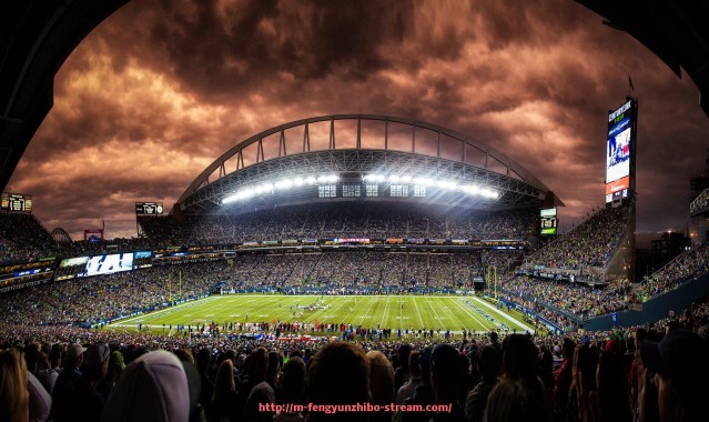 风云直播-德甲历史上从未降级的球队介绍