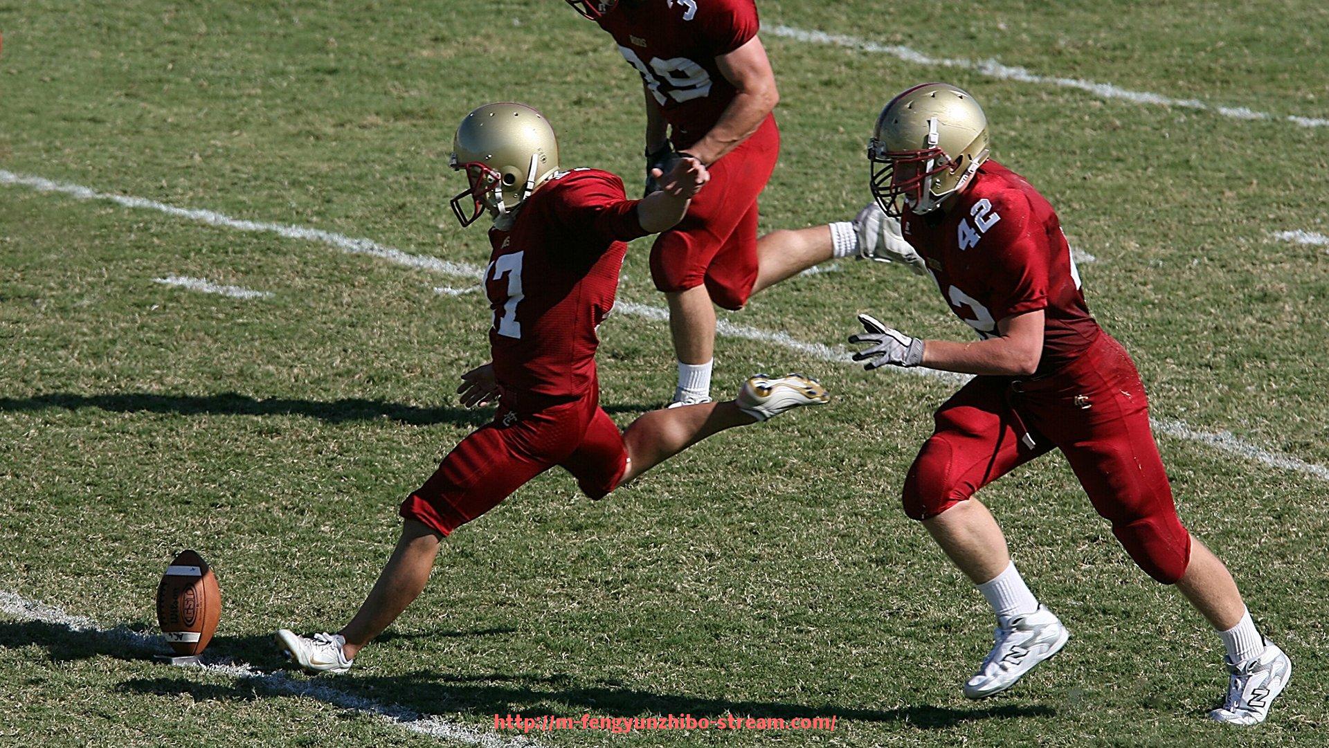 风云直播-德甲球队主要股东名单及投资背景介绍