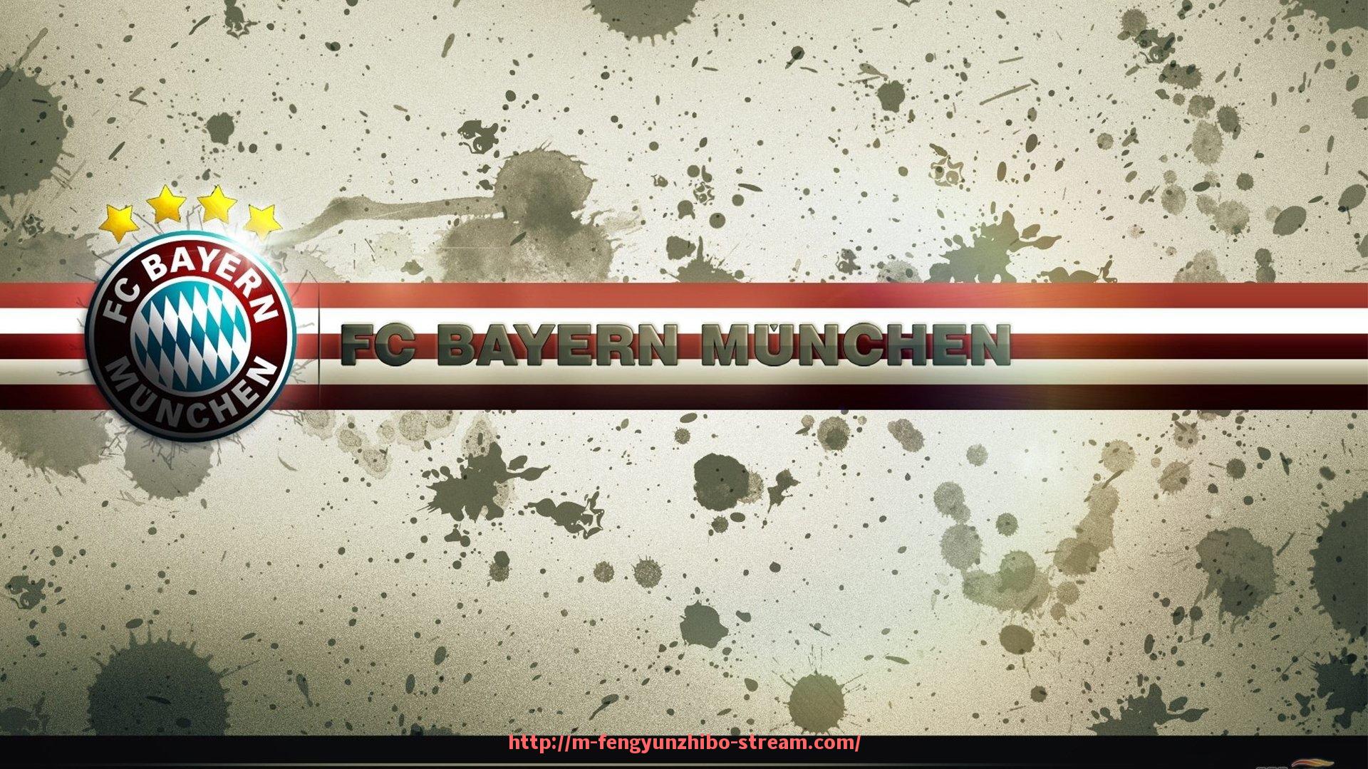 风云直播-凤凰足球队在德甲联赛中的发展历程与未来展望